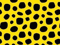 Motif Image 588736dca1fe1 Motif Image 588736dca1fe1